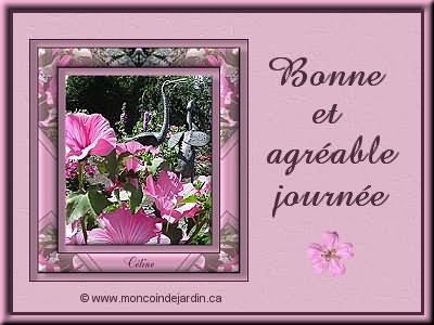 Toute une le�on de vie...